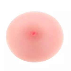 The True Breast prsník