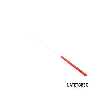 BDSM Line ratanová rákoska 60 cm