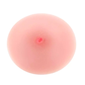 The True Breast prsník